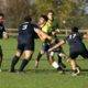 rugby noceto amatori rugby