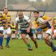 rugby parma a modena