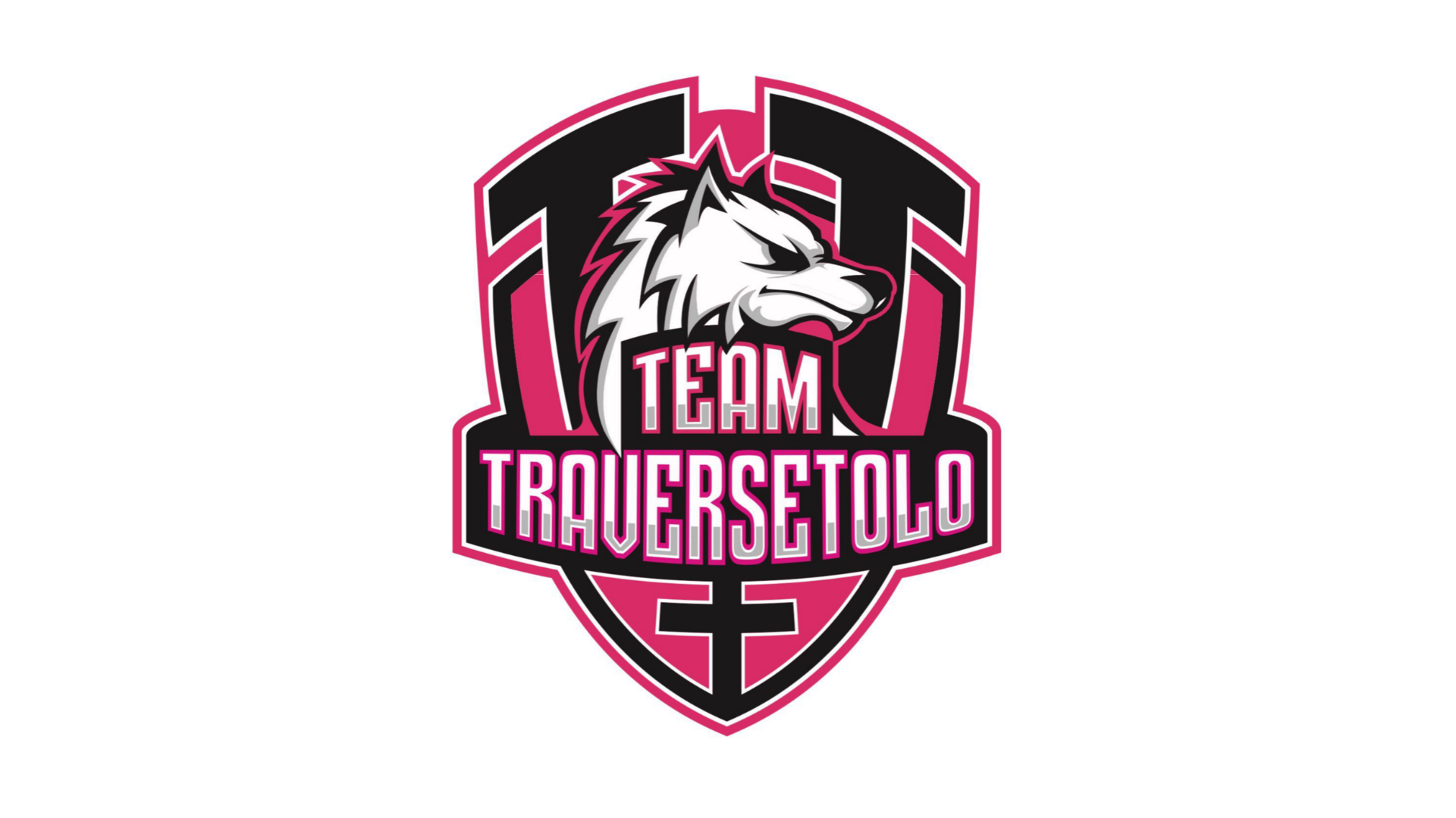 nuovo logo Team Traversetolo