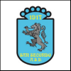 san secondo 1917 logo